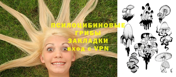 дмт Алексеевка