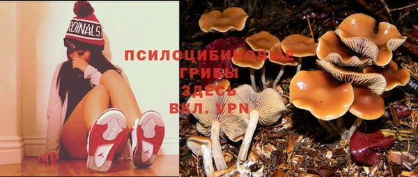 трава Алзамай