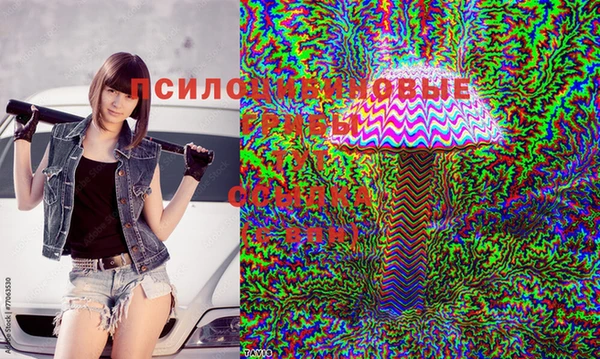 дмт Алексеевка