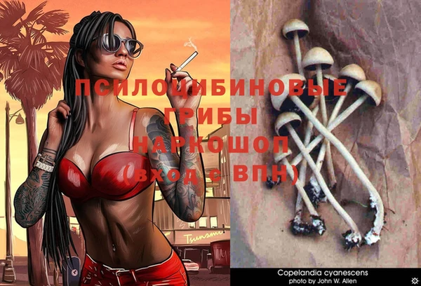 трава Алзамай