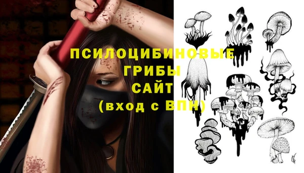 мдпв Алексин