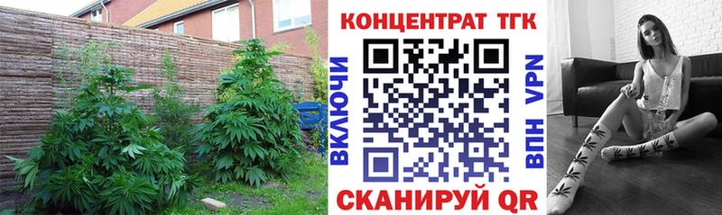 магазин    Арзамас  ТГК Wax 