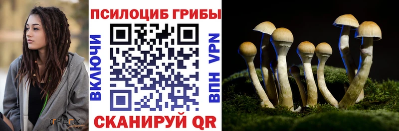 omg зеркало  что такое   Арзамас  Псилоцибиновые грибы MAGIC MUSHROOMS 